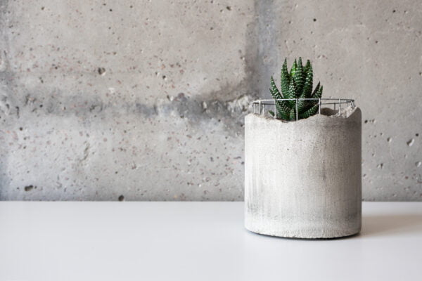 SPECIALCHEM Concrete Architect – Sicherung von Architekturbeton – Bild 5