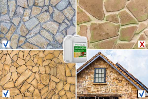 SPECIALCHEM SANDSTONE CLEAN zum Reinigen von Sandstein, Kalkstein und anderen Steinen – Bild 2
